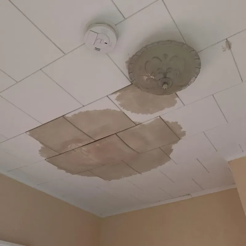 Ceiling Water Damage Repair in Kittanning, PA