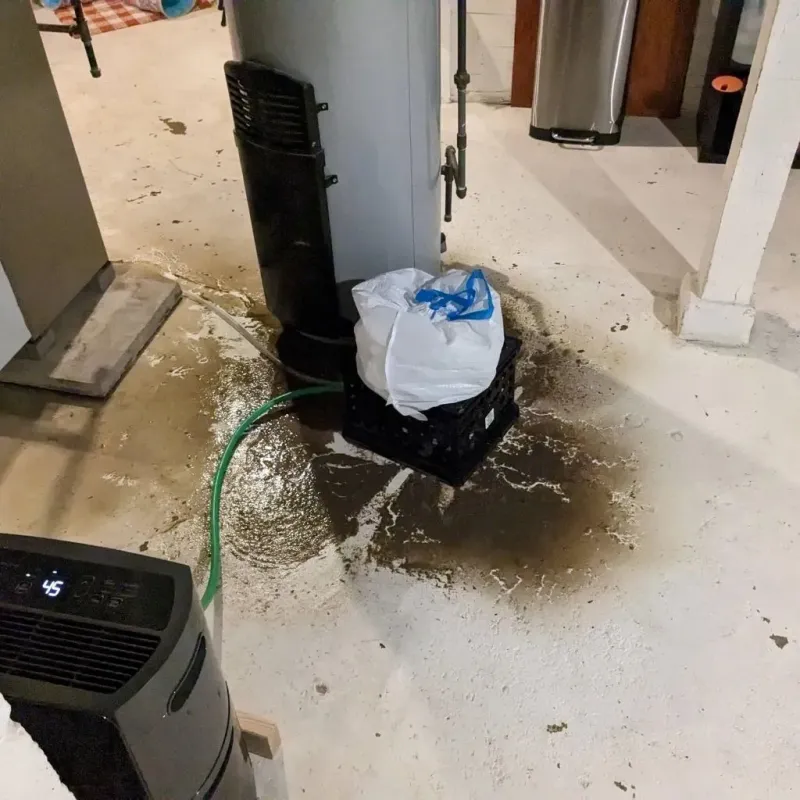 Sewage Backup Cleanup Service in Kittanning, PA